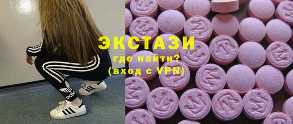 ECSTASY Богородицк