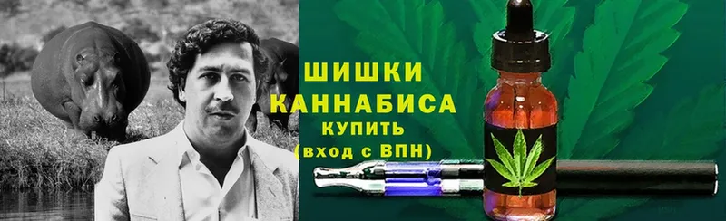 Каннабис Amnesia  ссылка на мегу рабочий сайт  Канск 